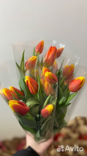 Тюльпаны к 8 марта