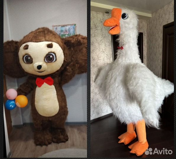 Услуги аниматора