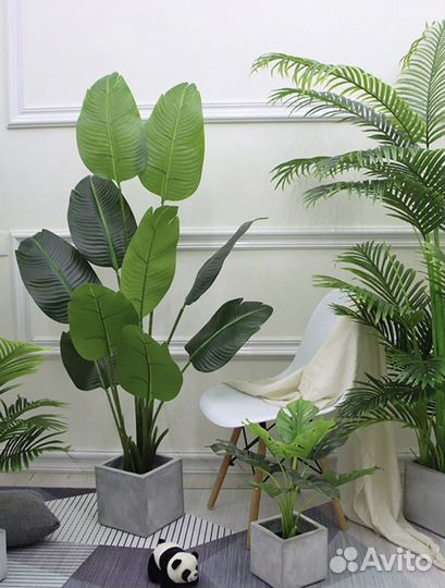 Искусственные деревья, стрелиция