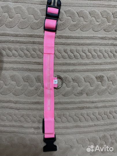 Ошейник для маленьких пород