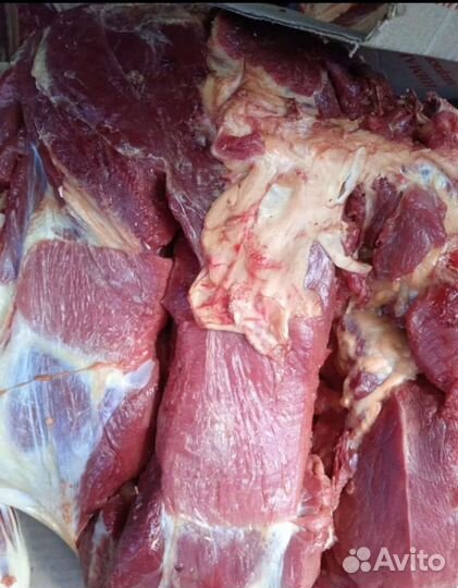 Мясо говядина