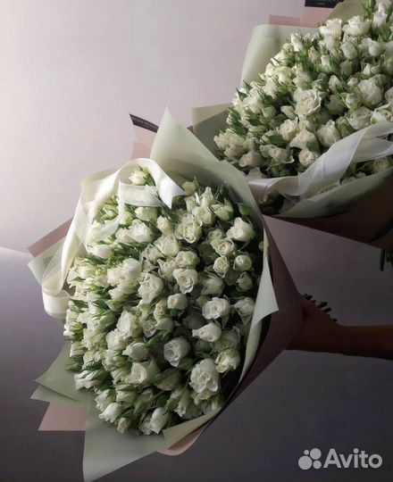 Цветы куст. розы