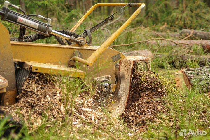 Удалить пень, корчевка пня, фрезеровка пней, пни