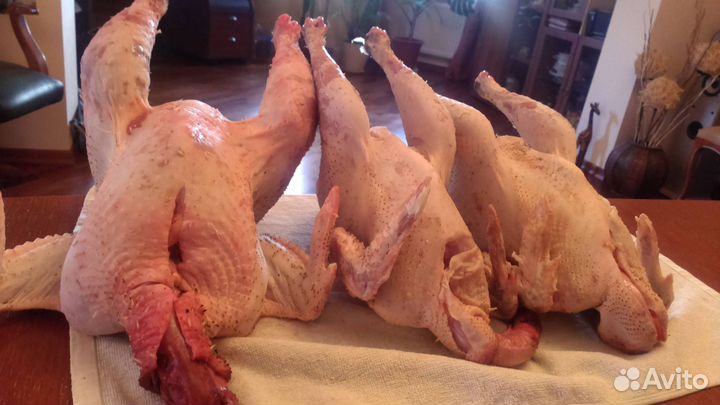 Мясо петушков, курочки на бульон