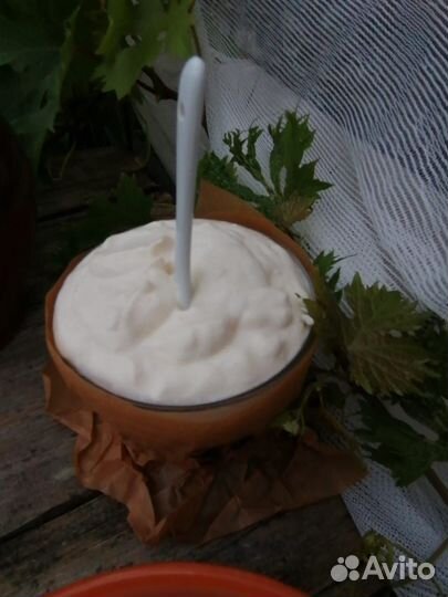 Молоко и молочные продукты