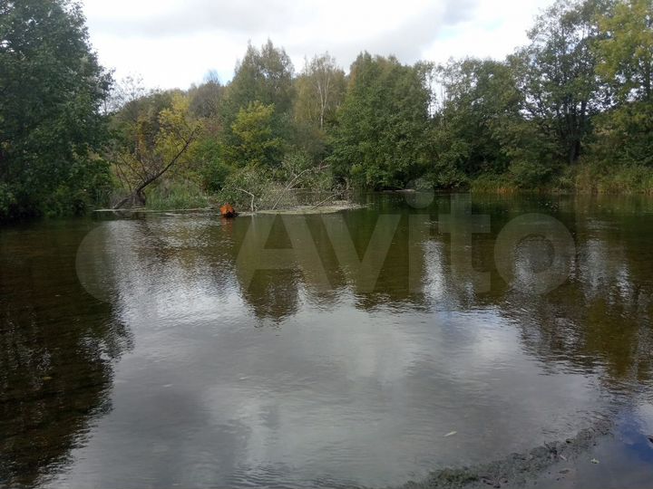 Участок 5,6 сот. (СНТ, ДНП)