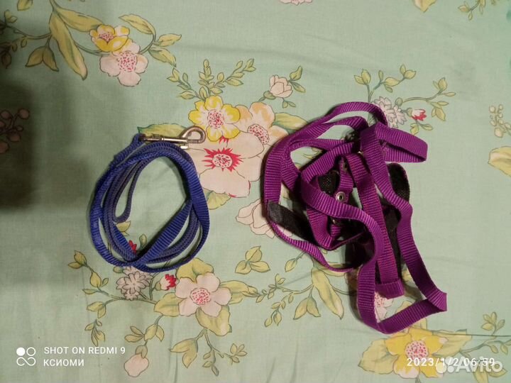 Поводок, ошейник, шлейка для собак