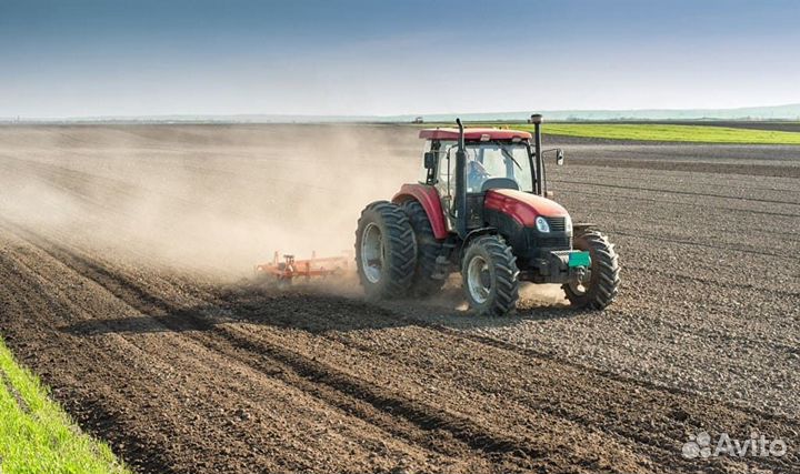 Тракторист (ст. Марьянская)