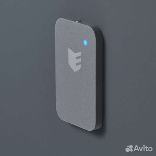 Esmart Reader BLE stone (ER1701)(158-20036)