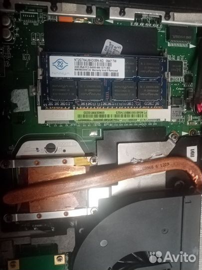 Asus