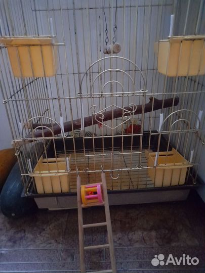 Клетка для попугая