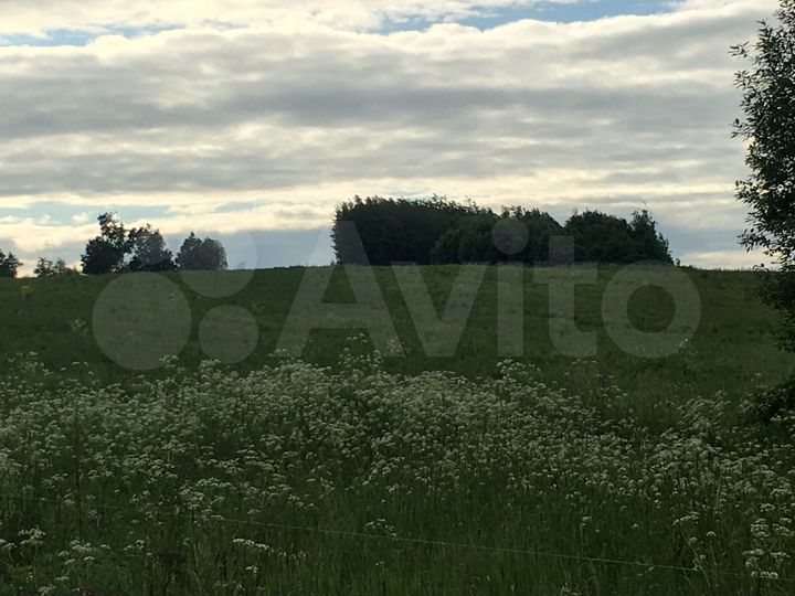 Участок 10 сот. (СНТ, ДНП)