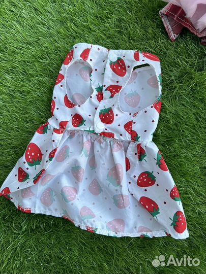 Вещи для животных