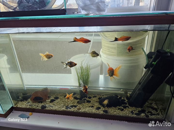 Аквариум 70л