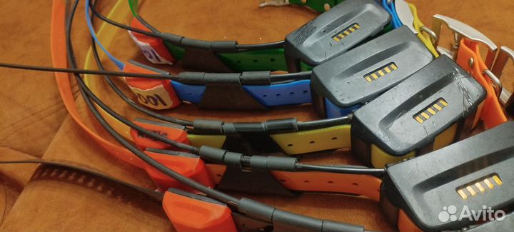 Ошейники Garmin T5 us Америка