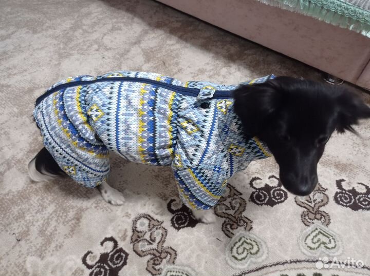 Одежда для больших и средних собак