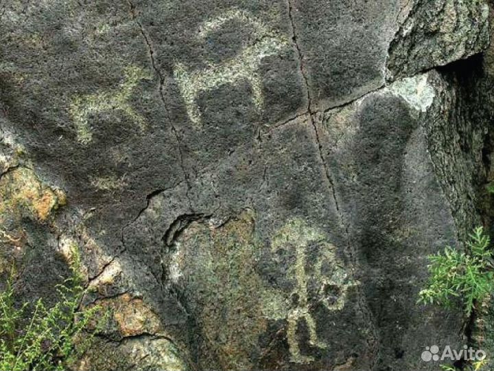 Авторский тур по Алтаю