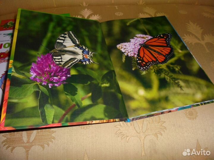 Бабочки +Динозавры Энциклопедия для детей