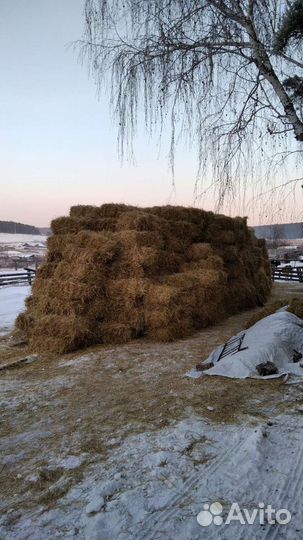 Солома в тюках