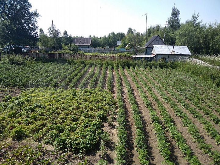 Дача 30 м² на участке 10 сот.