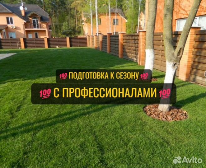 Рулонный газон Краснодар Питомник под ключ