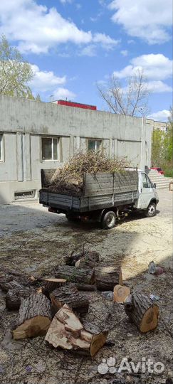 Вывоз мусора и веток