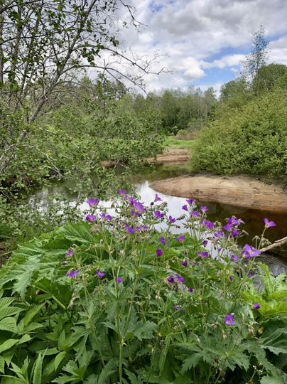 Участок 15 сот. (ИЖС)