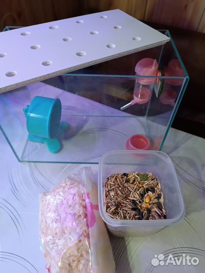 Хомяк,домик для хомяков