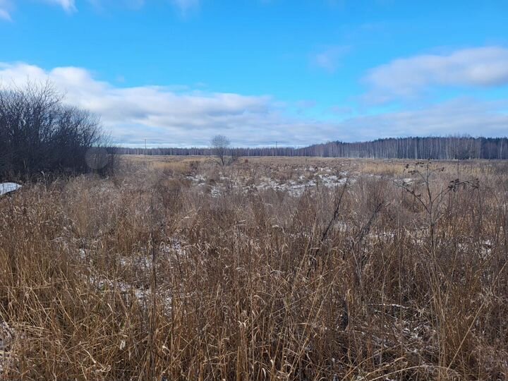 Участок 40 сот. (ИЖС)