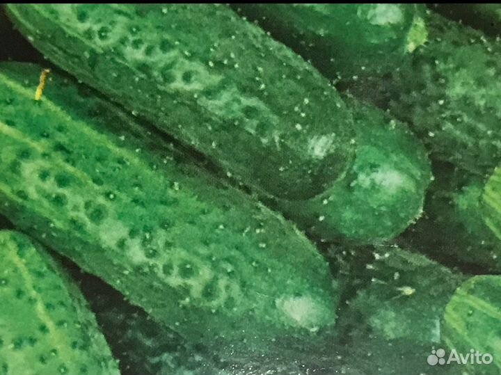 Семена овощей и зелени (на июль и не только)