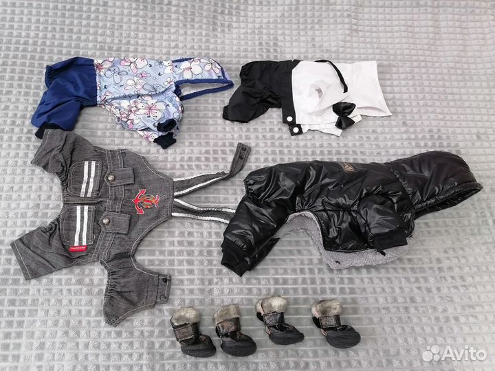 Одежда для маленьких собак