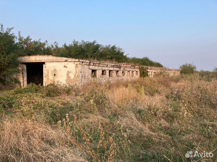 Животноводческая ферма продаю