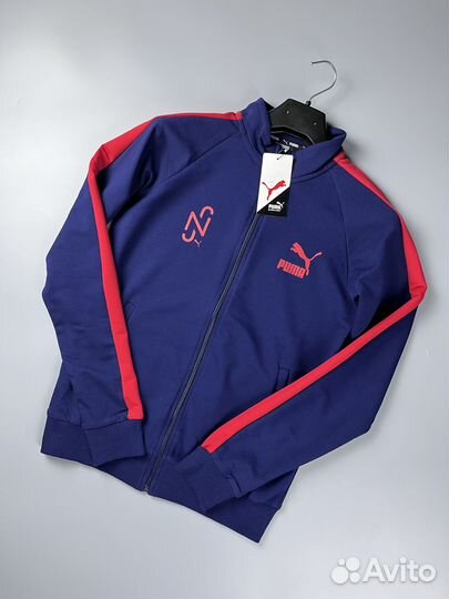 Спортивный Костюм Puma