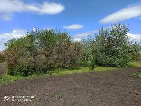 Дом 56 м² на участке 45 сот.