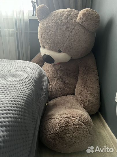 Большой плюшевый мишка 200 см