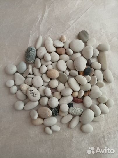 Морские камни и ракушки