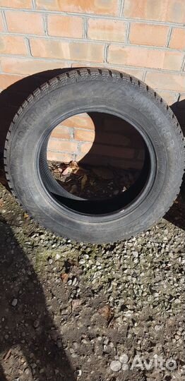 Gislaved Nord Frost 200 195/65 R15