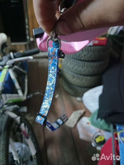 Рулетка поводок с ошейником для кошек и собак