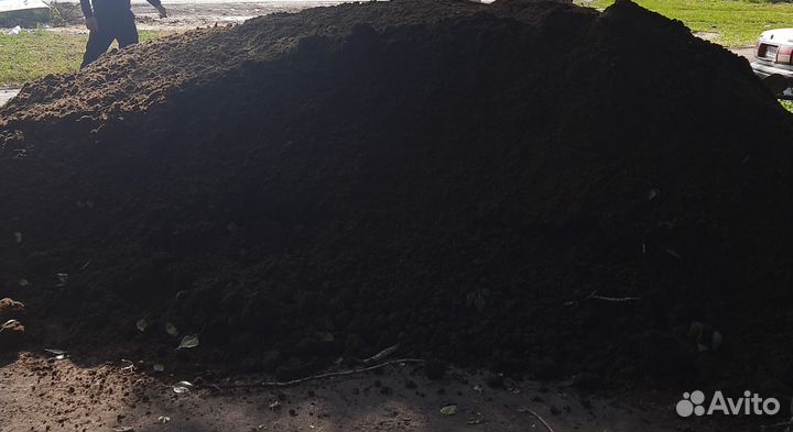 Перегоной конской коровий