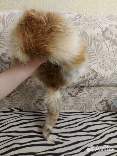 Шапка из лисы