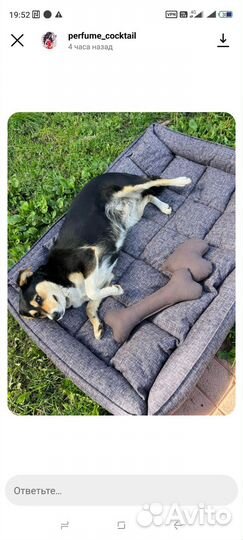 Лежанка для собак