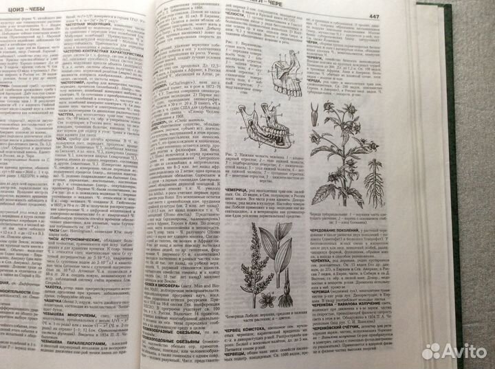 Энциклопедический словарь Естествознание