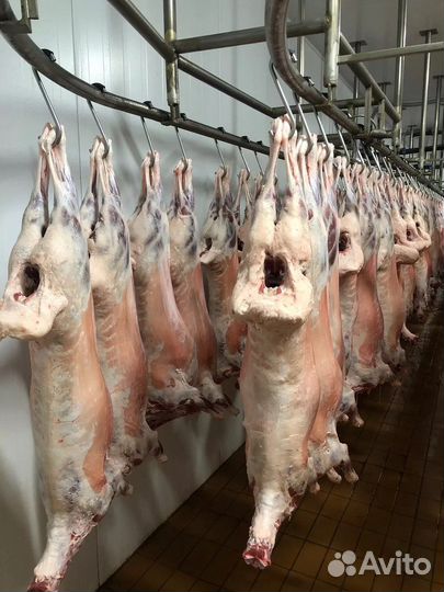 Баранина ягненок тушка Халяль