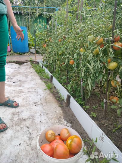 Фермерские продукты