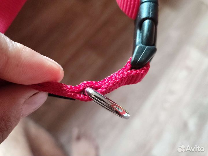 Ошейник для собак