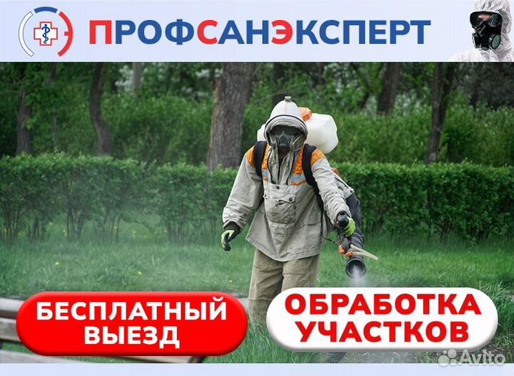 Уничтожение клещей комаров ос борщевика муравьёв