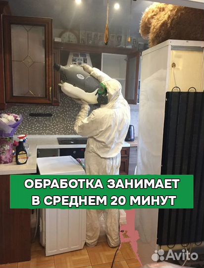 Уничтожение клопов и тараканов с гарантией