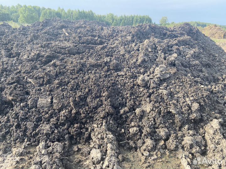 Продажа перегноя