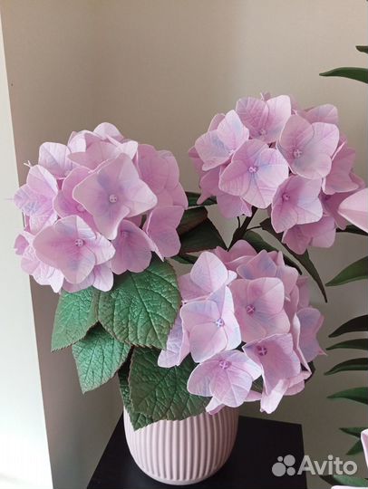 Набор молдов Гортензии