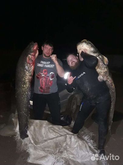 Приглашаем на активный отдых в Дельте Волги